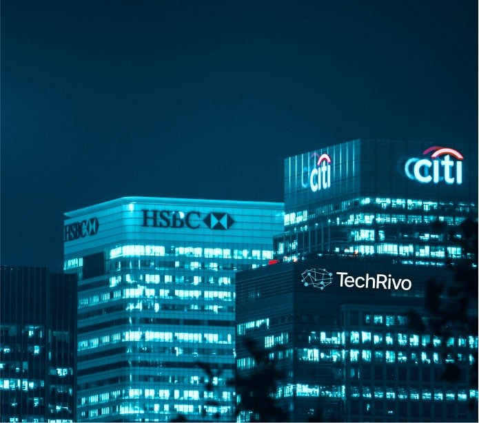 Custom Software Development team, custom software development services